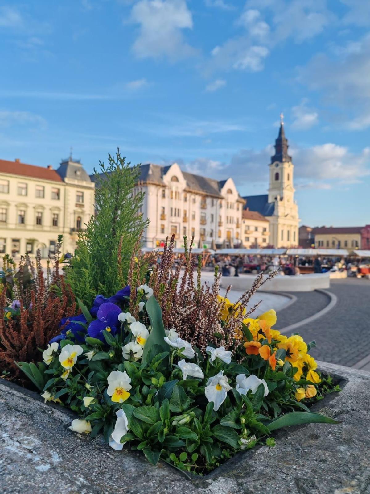 Victoria Apartment 1901 Oradea Exterior photo